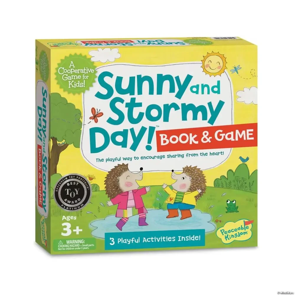 Sunny and Stormy Day Social Emotional Learning Game